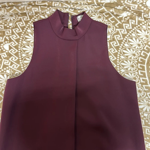 Katherine Kelly Lined Sleeveless Dress Deep wine color - Picture 5 of 9